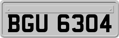 BGU6304