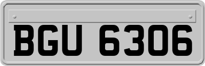 BGU6306