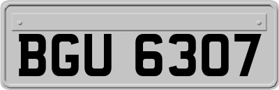 BGU6307