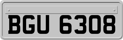 BGU6308
