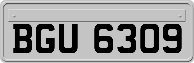 BGU6309
