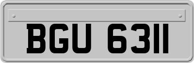 BGU6311