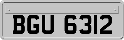 BGU6312