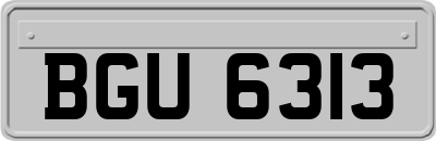 BGU6313