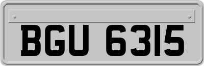 BGU6315