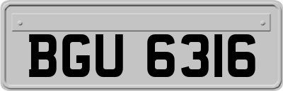 BGU6316