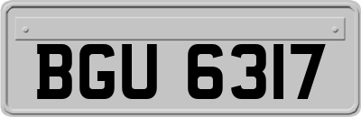 BGU6317