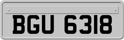 BGU6318