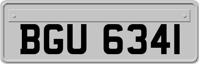 BGU6341