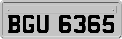 BGU6365
