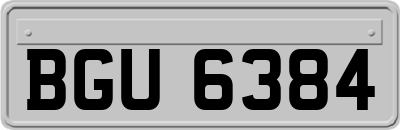 BGU6384