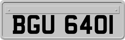 BGU6401