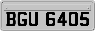 BGU6405
