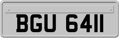 BGU6411