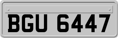BGU6447