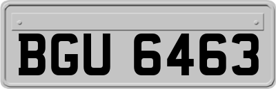 BGU6463