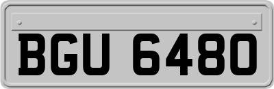 BGU6480