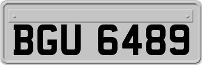 BGU6489