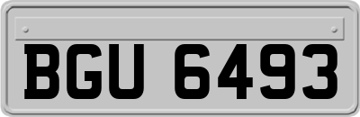 BGU6493