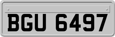 BGU6497