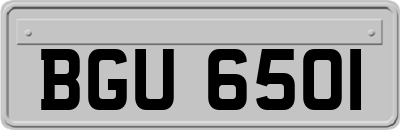 BGU6501