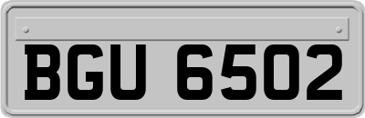 BGU6502