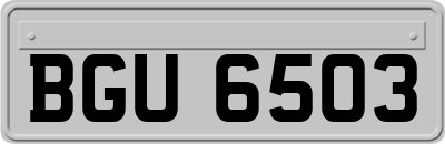 BGU6503