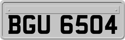 BGU6504