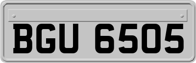 BGU6505