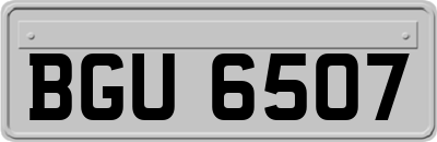BGU6507