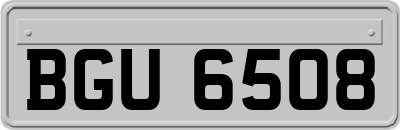 BGU6508