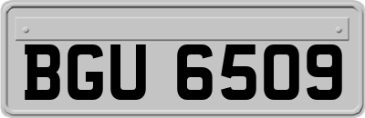BGU6509