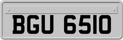 BGU6510