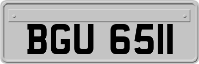 BGU6511