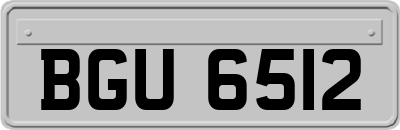 BGU6512