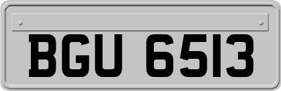 BGU6513