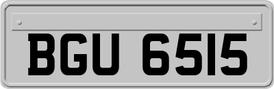 BGU6515