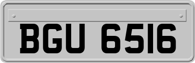 BGU6516