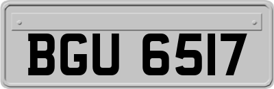 BGU6517