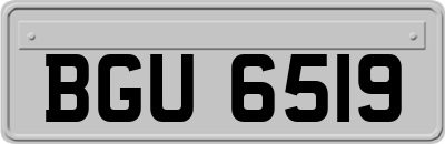 BGU6519
