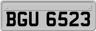 BGU6523