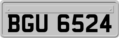 BGU6524