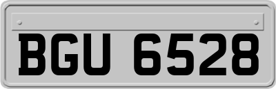 BGU6528