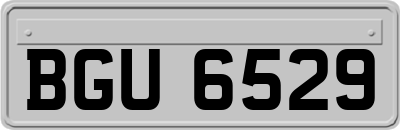 BGU6529