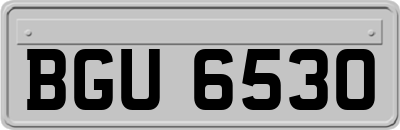 BGU6530