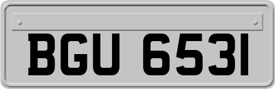 BGU6531