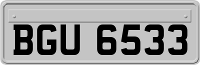 BGU6533