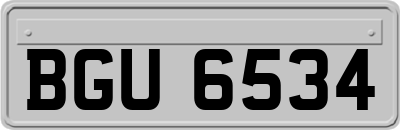 BGU6534
