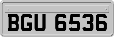 BGU6536