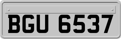 BGU6537